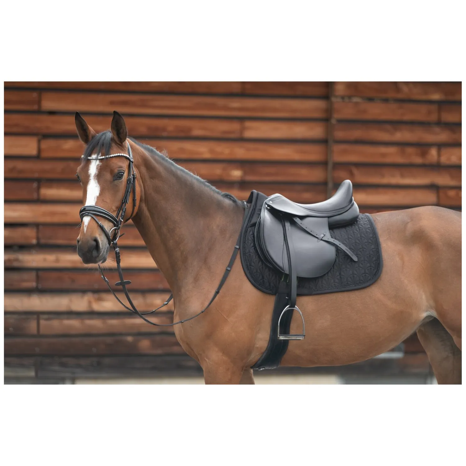 Cheval de Luxe Sättel & Zubehör|Schabracken<Schabracke Lille