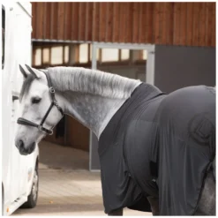 Cheval de Luxe Pferdedecken|Transportdecken<Transportdecke
