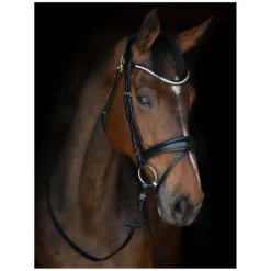 Cheval de Luxe Trensen<Trensenzaum Catania