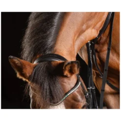 Cheval de Luxe Trensen<Trensenzaum Dijon