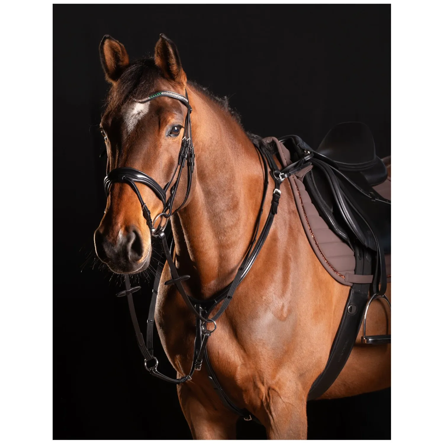 Cheval de Luxe Trensen<Trensenzaum Dijon