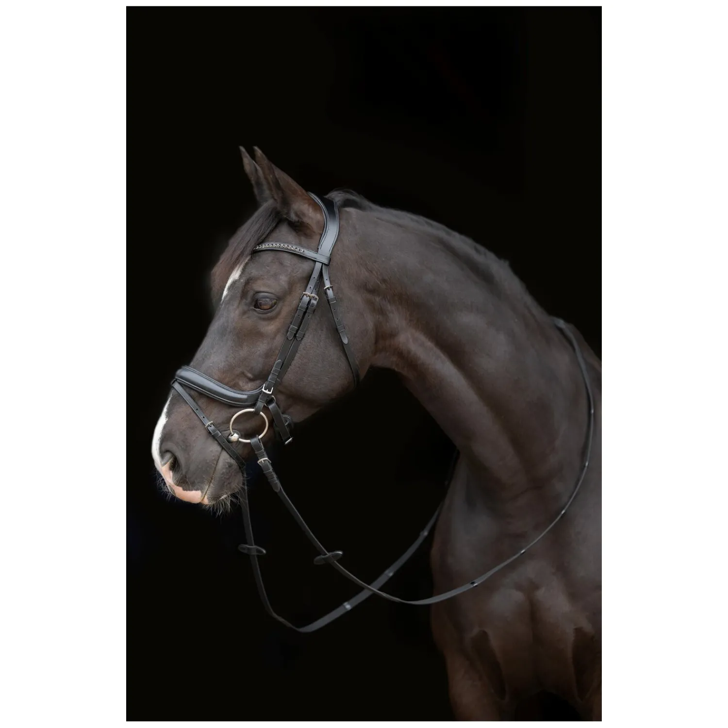 Cheval de Luxe Trensen<Trensenzaum Genova