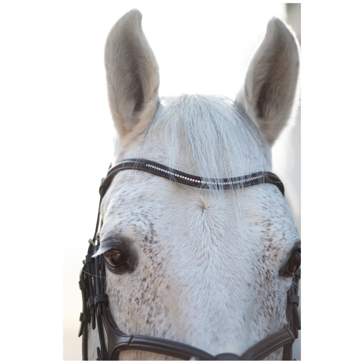 Cheval de Luxe Trensen<Trensenzaum Miami
