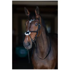 Cheval de Luxe Trensen<Trensenzaum Miami