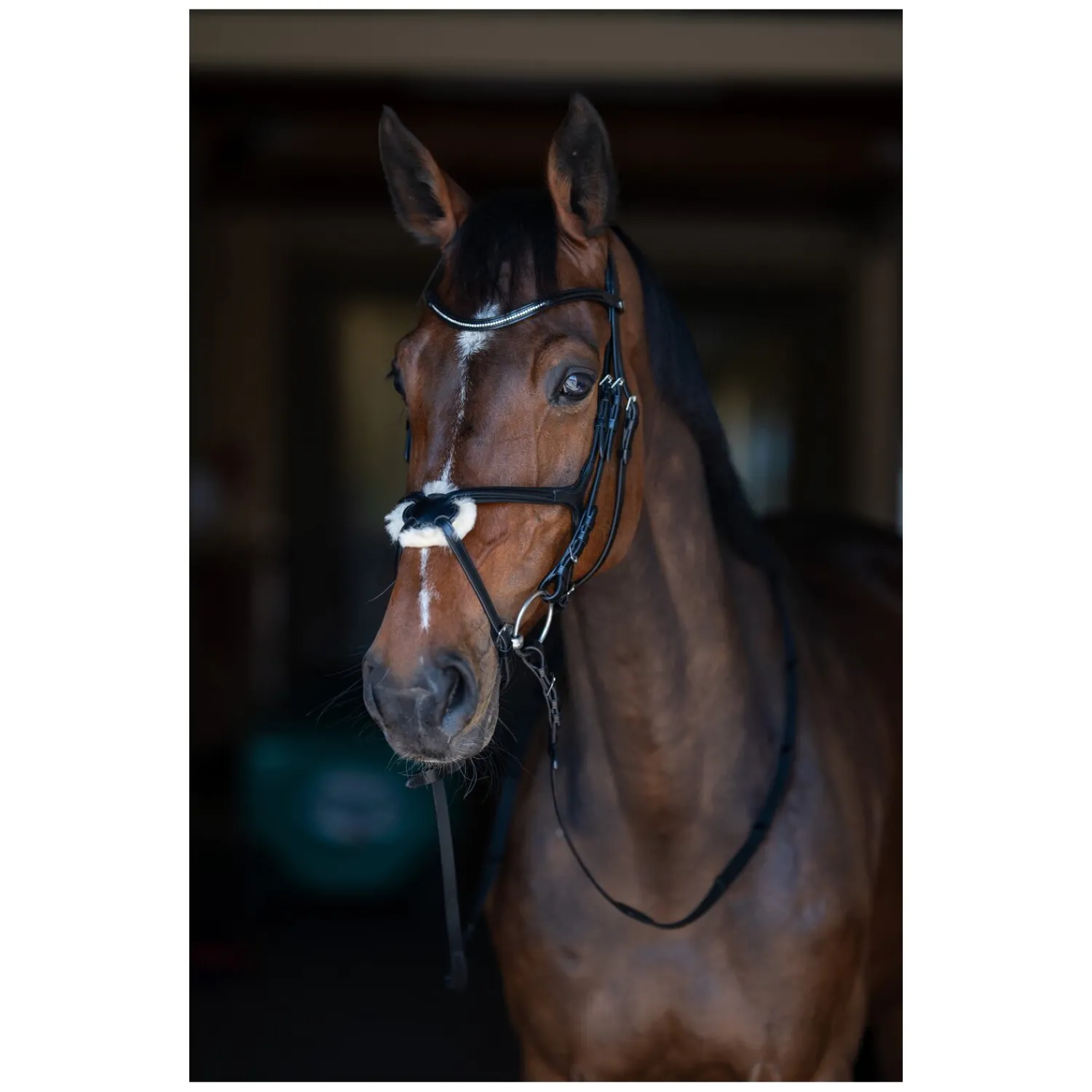 Cheval de Luxe Trensen<Trensenzaum Miami