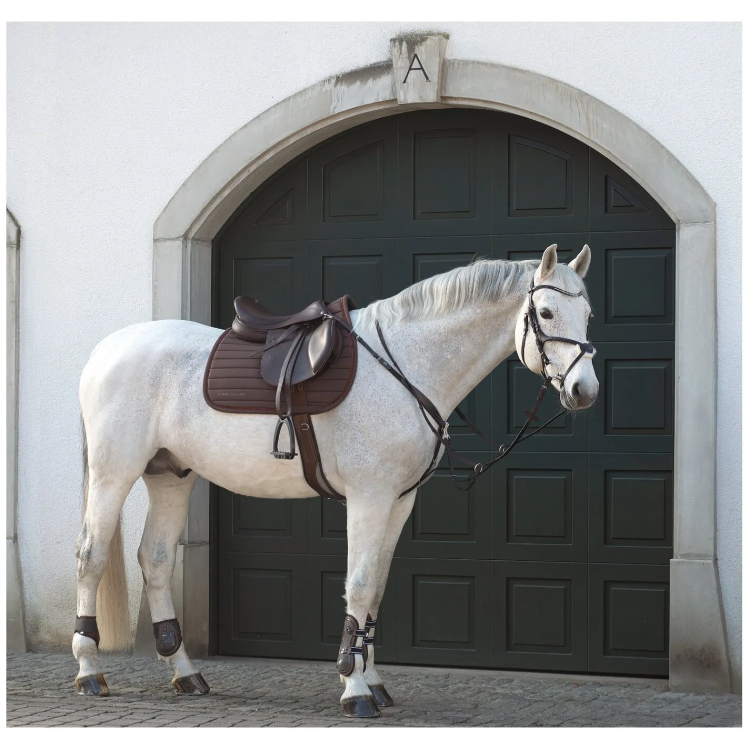 Cheval de Luxe Trensen<Trensenzaum Miami
