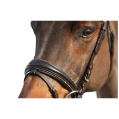 Cheval de Luxe Trensen<Trensenzaum San Francisco