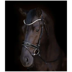 Cheval de Luxe Trensen<Trensenzaum San Francisco