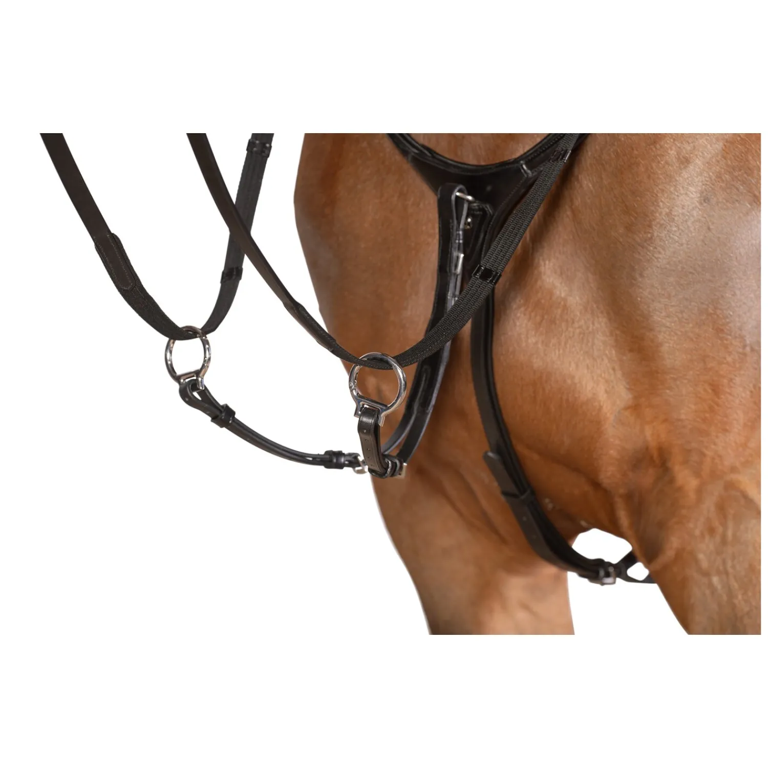 Cheval de Luxe Sättel & Zubehör|Sattelzubehör<Vorderzeug Dijon