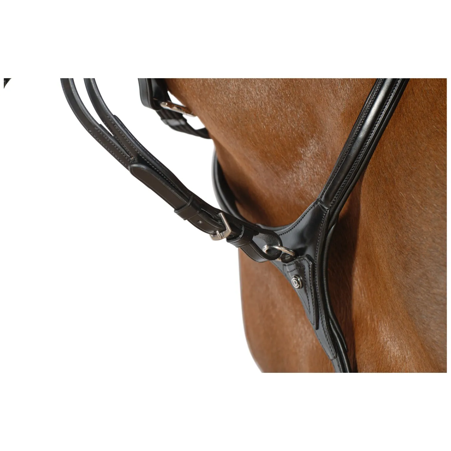 Cheval de Luxe Sättel & Zubehör|Sattelzubehör<Vorderzeug Dijon