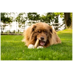 Loesdau Hundesnacks<DAUERKAUER Käsekauknochen