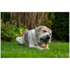 Loesdau Hundesnacks<DAUERKAUER Käsekauknochen