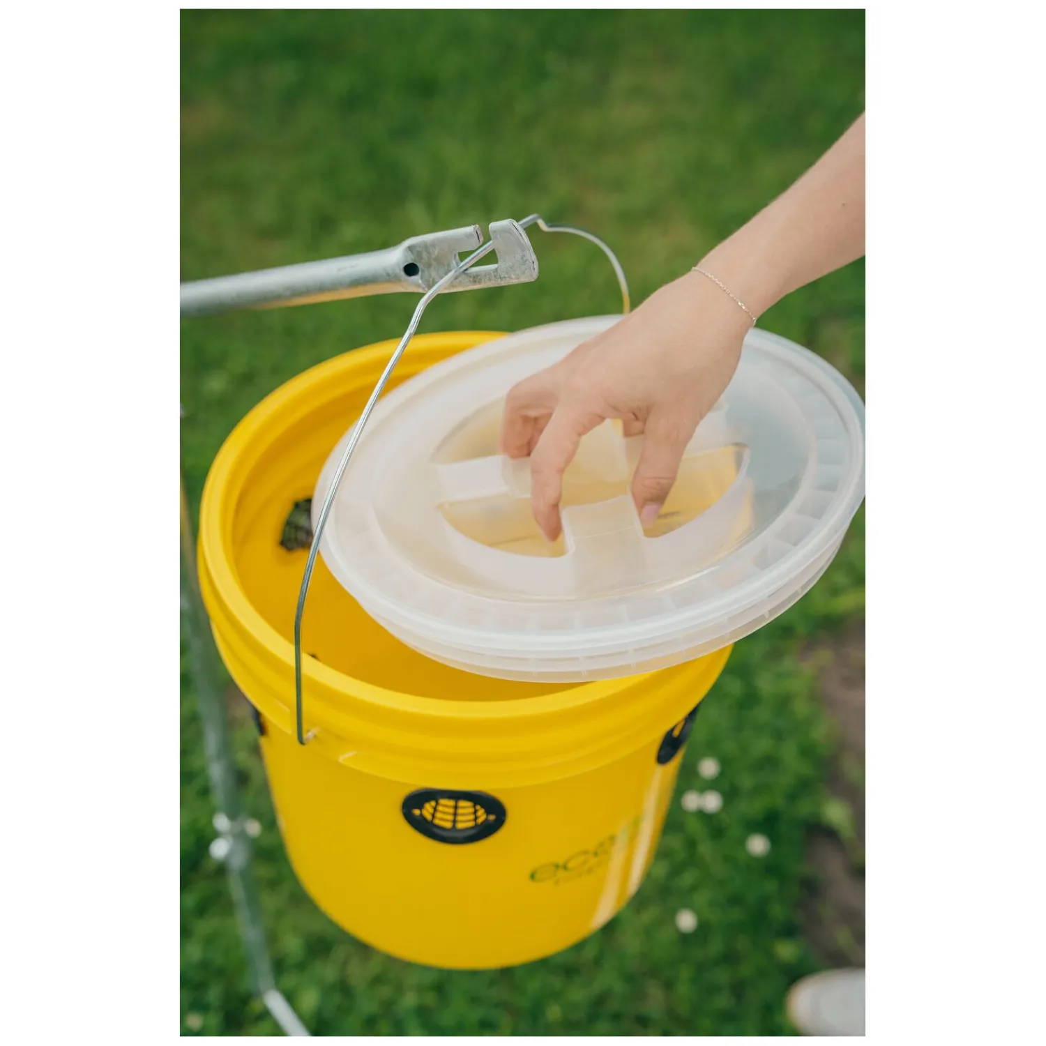 Loesdau Fliegenfallen<ecoBUSTERS Fliegenfalle Weide Professional + Lockstoff