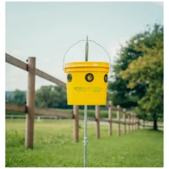 Loesdau Fliegenfallen<ecoBUSTERS Fliegenfalle Weide Professional + Lockstoff