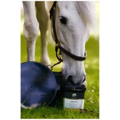Loesdau Zusatz- Und Mineralfutter<EQUANIS GastroActive