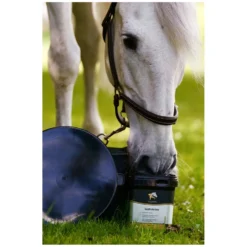 Loesdau Zusatz- Und Mineralfutter<EQUANIS GastroActive