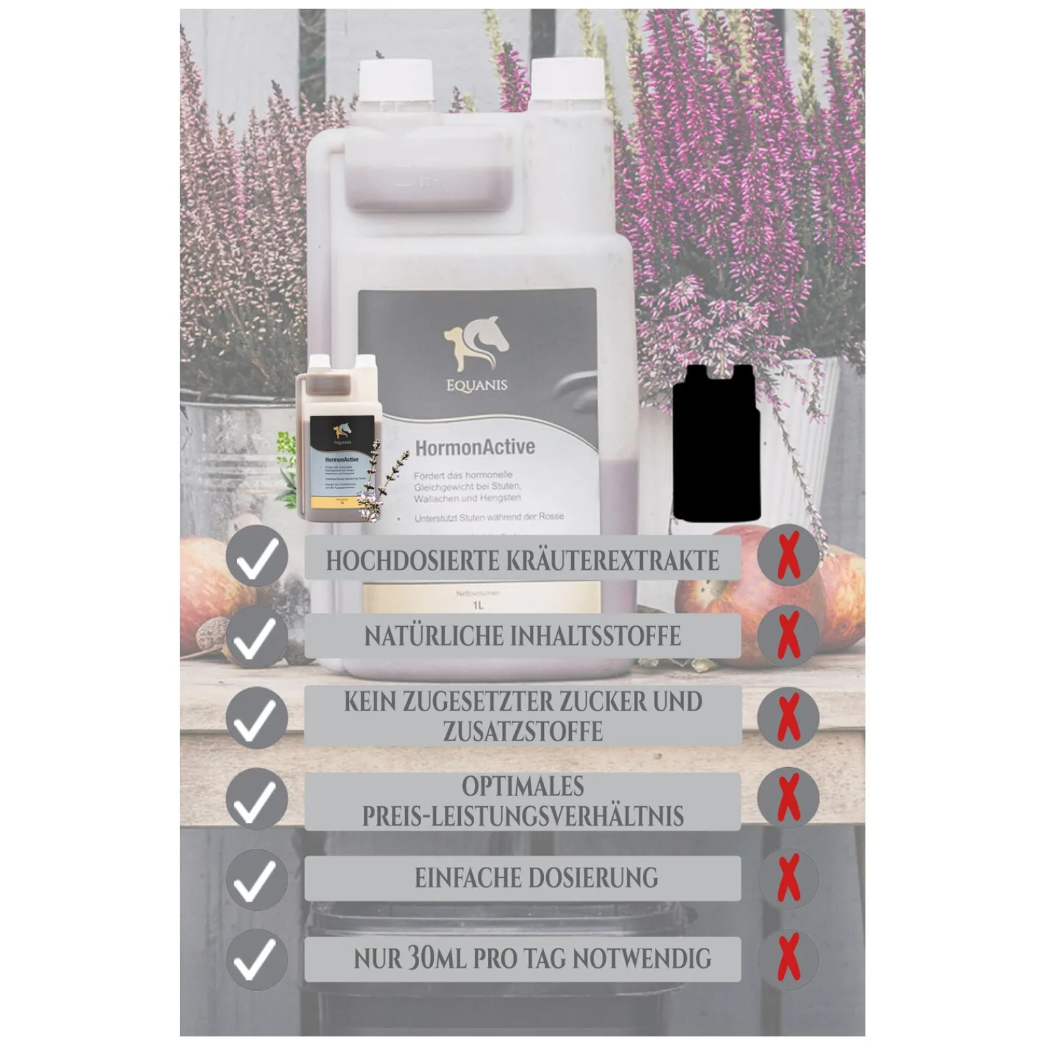 Loesdau Zusatz- Und Mineralfutter<EQUANIS Hormon Active