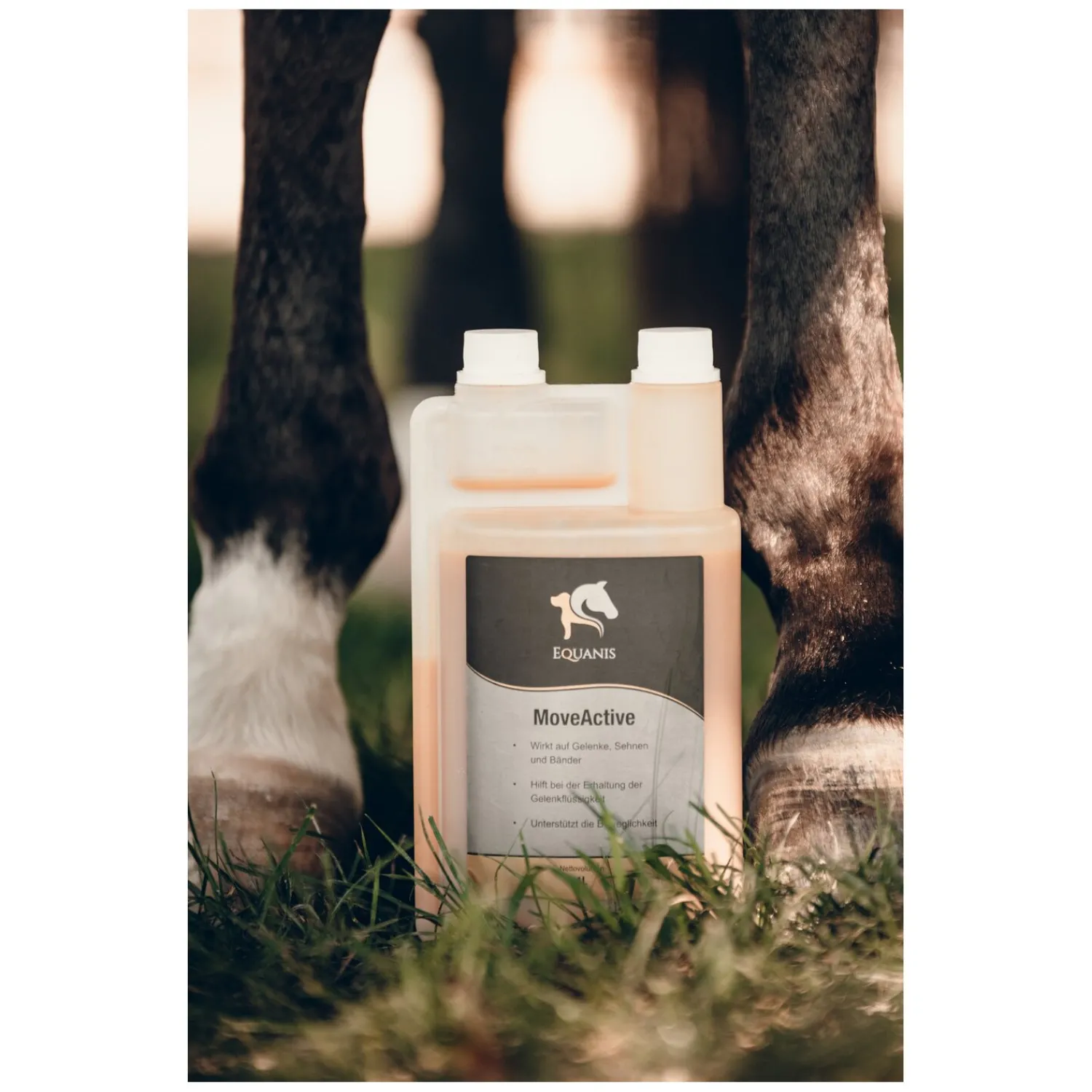 Loesdau Zusatz- Und Mineralfutter<EQUANIS MoveActive