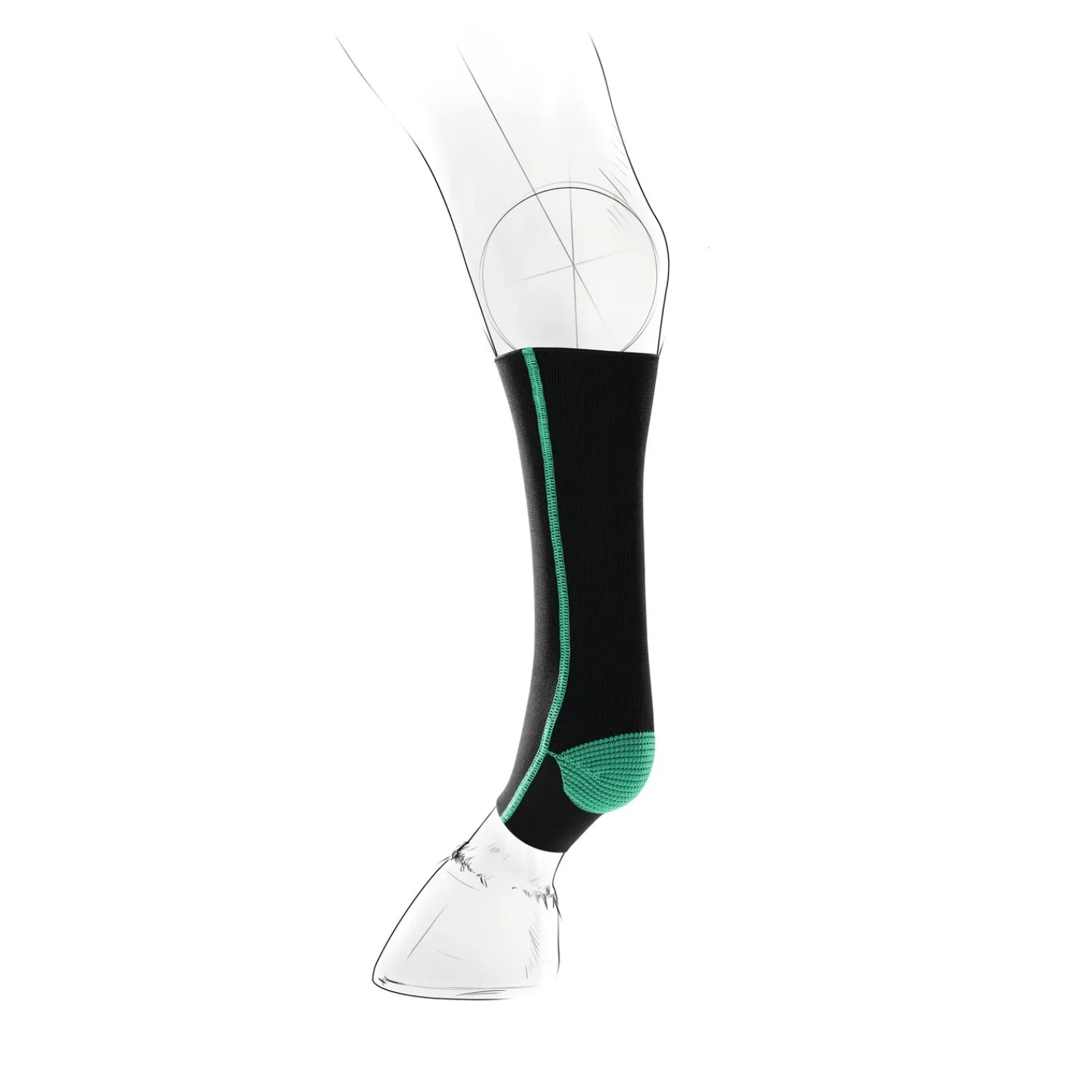 EquiCrown Abkühlen Und Regenerieren|Gamaschen<Kompressionsbandage active mit Reißverschluss