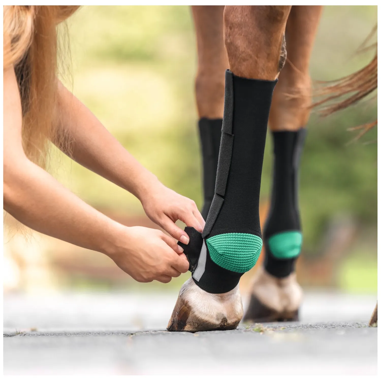 EquiCrown Abkühlen Und Regenerieren|Gamaschen<Kompressionsbandage active mit Reißverschluss