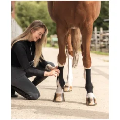 EquiCrown Abkühlen Und Regenerieren|Gamaschen<Kompressionsbandage fit mit Hakenverschluss