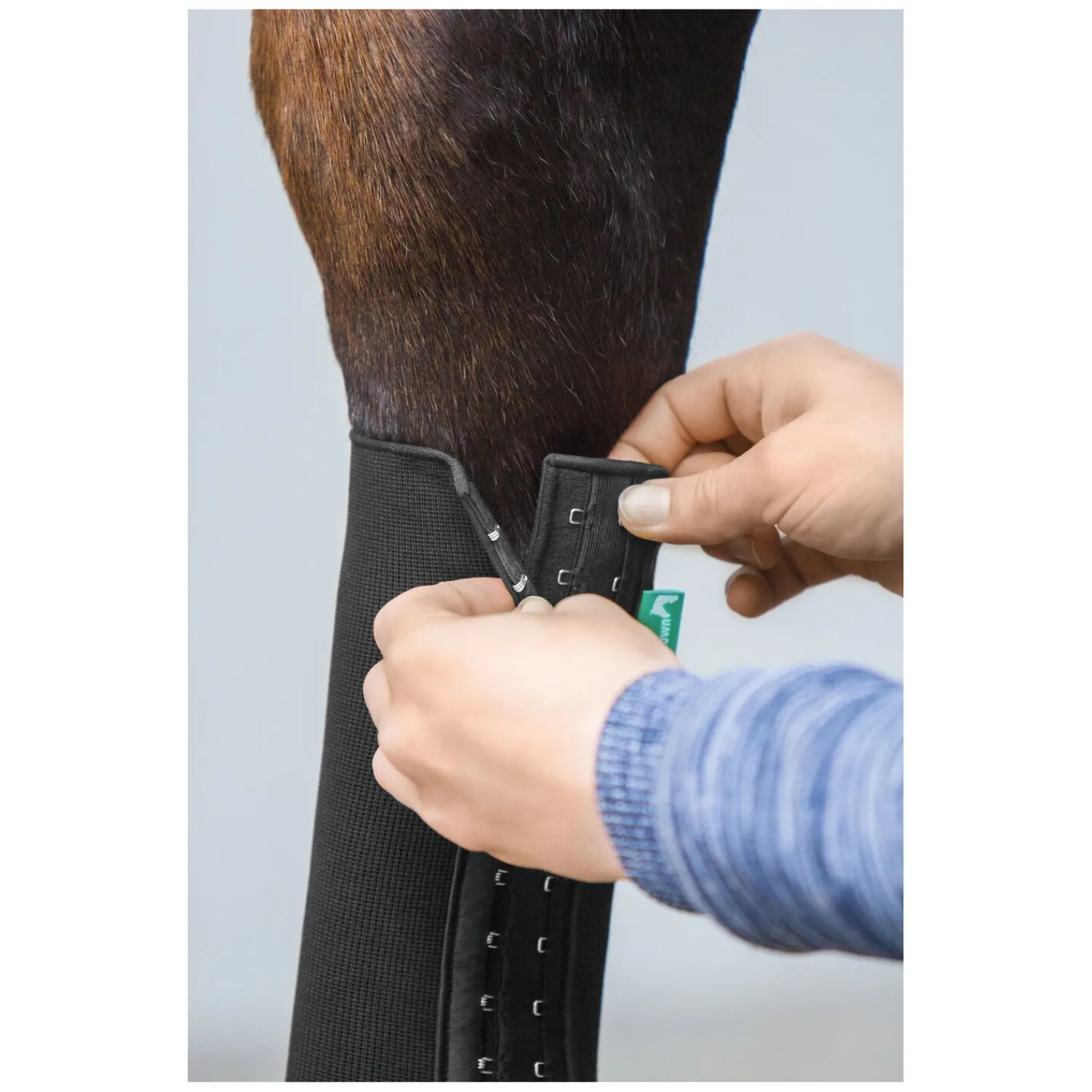 EquiCrown Abkühlen Und Regenerieren|Gamaschen<Kompressionsbandage fit mit Hakenverschluss