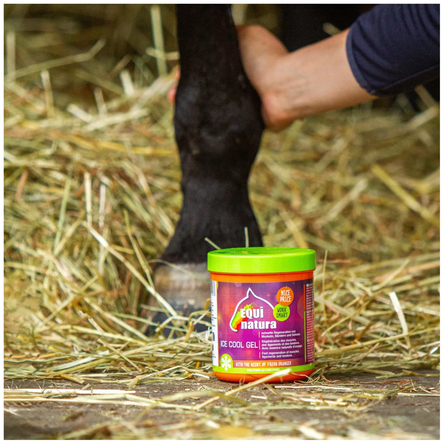 Loesdau Abkühlen Und Regenerieren|Pferdepflege<EQUinatura ICE COOL Gel