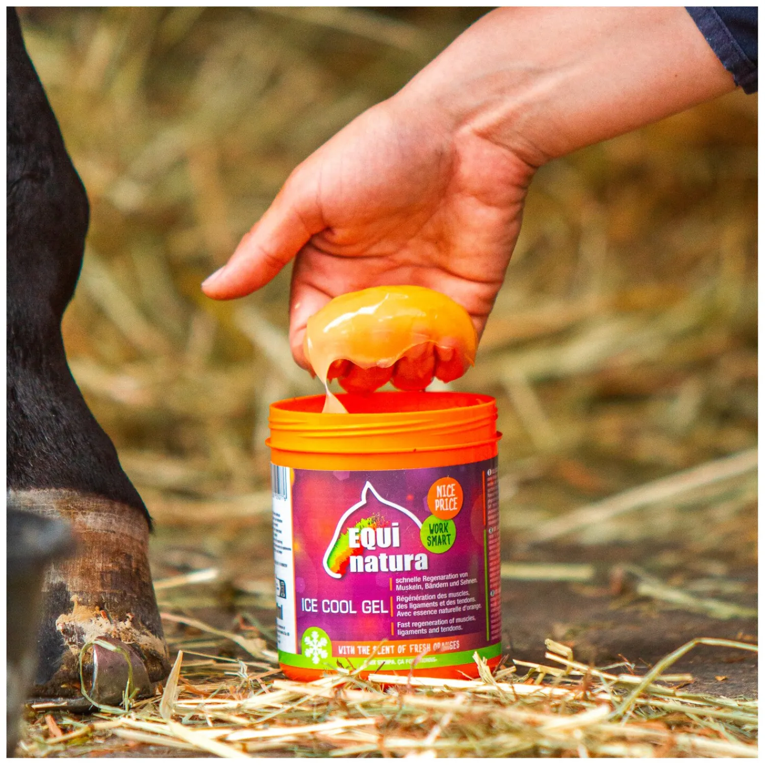 Loesdau Abkühlen Und Regenerieren|Pferdepflege<EQUinatura ICE COOL Gel