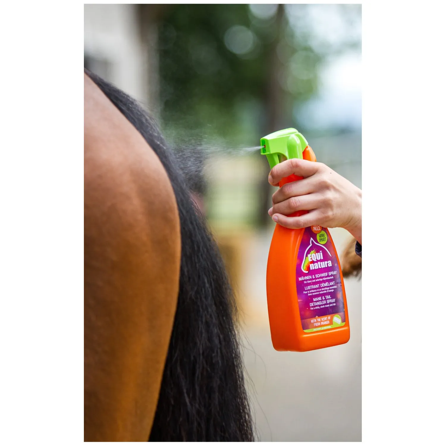 Loesdau Pferdepflege<EQUInatura Mähnen- und Schweifspray