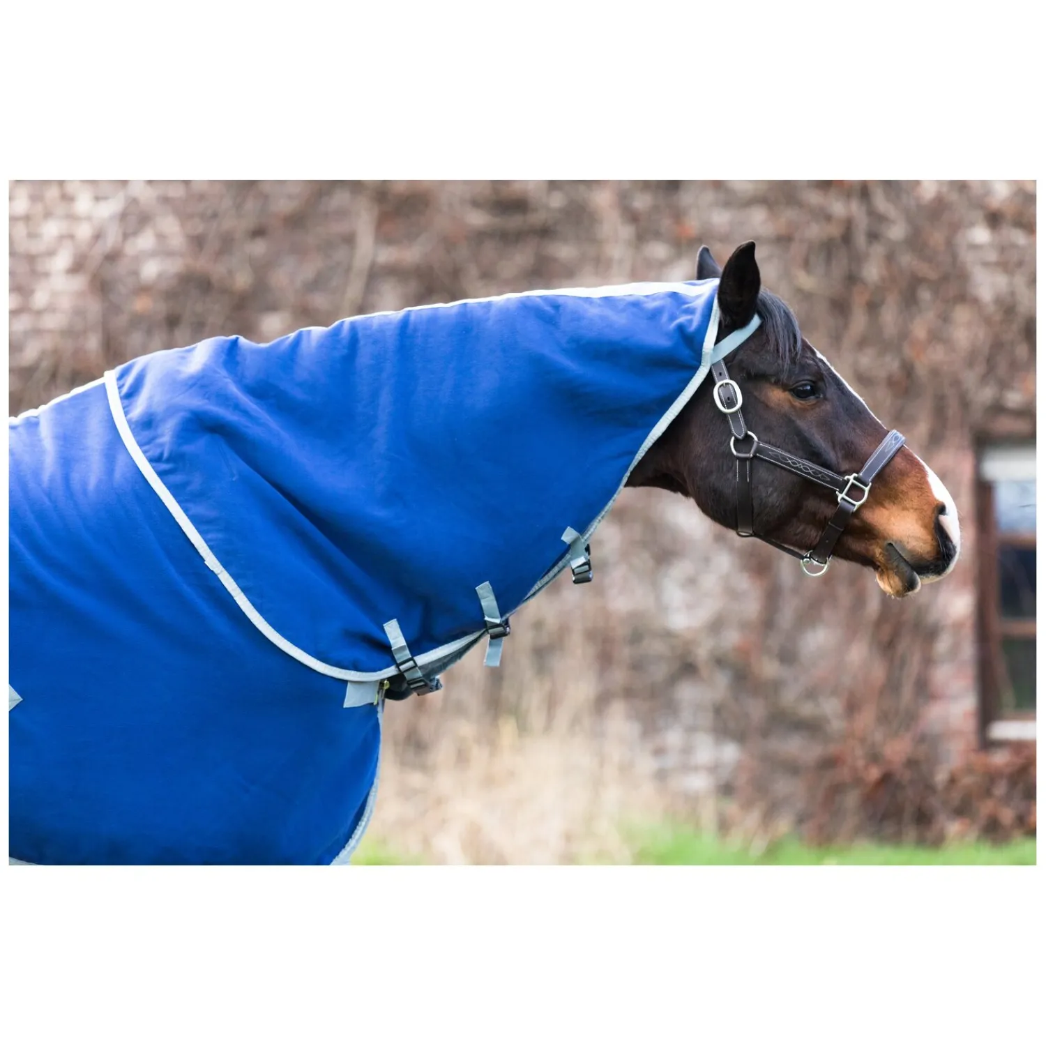 Loesdau Pferdedecken|Deckenzubehör<EQUINE-MICROTEC Halsteil Flanell Touch