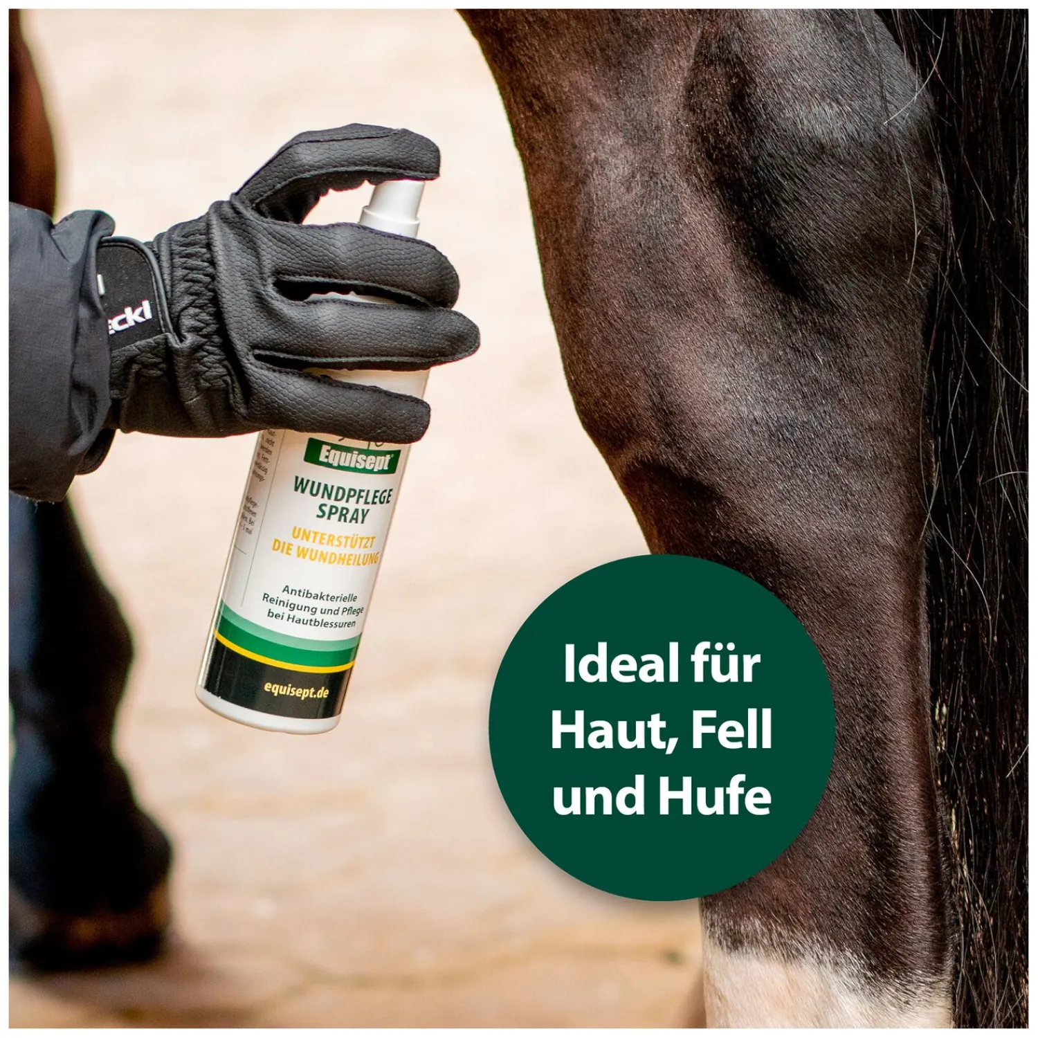 Loesdau Stallapotheke<Equisept Wundpflegespray