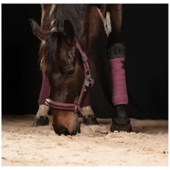 ESKADRON Classic Sports Bandagen<Fleecebandagen Fleece Jewel