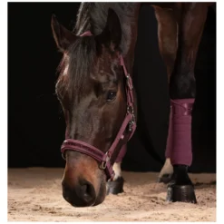 ESKADRON Classic Sports Bandagen<Fleecebandagen Fleece Jewel