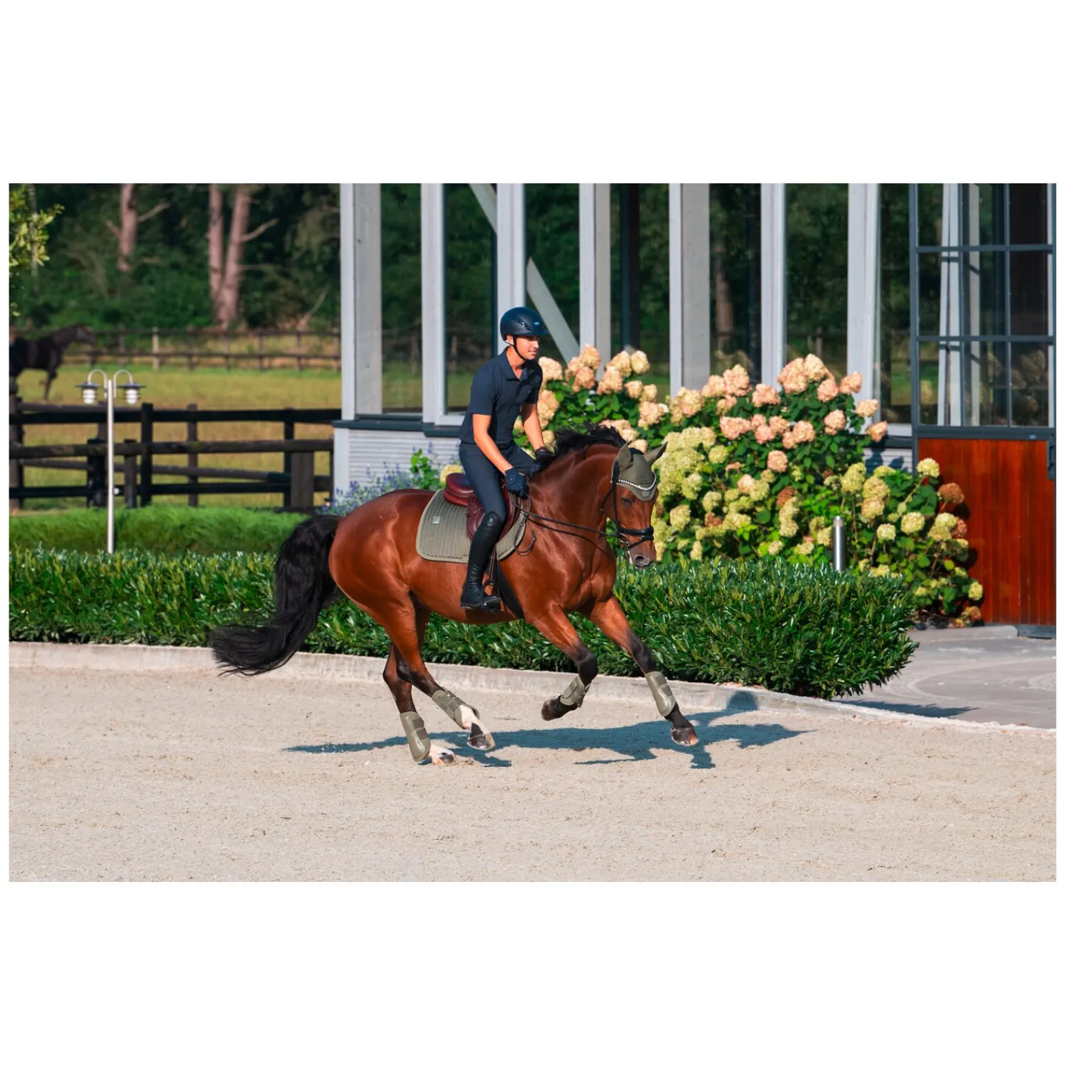 Loesdau Gamaschen<ESKADRON Classic Sports Gamaschen Softshell, für die Vorderbeine