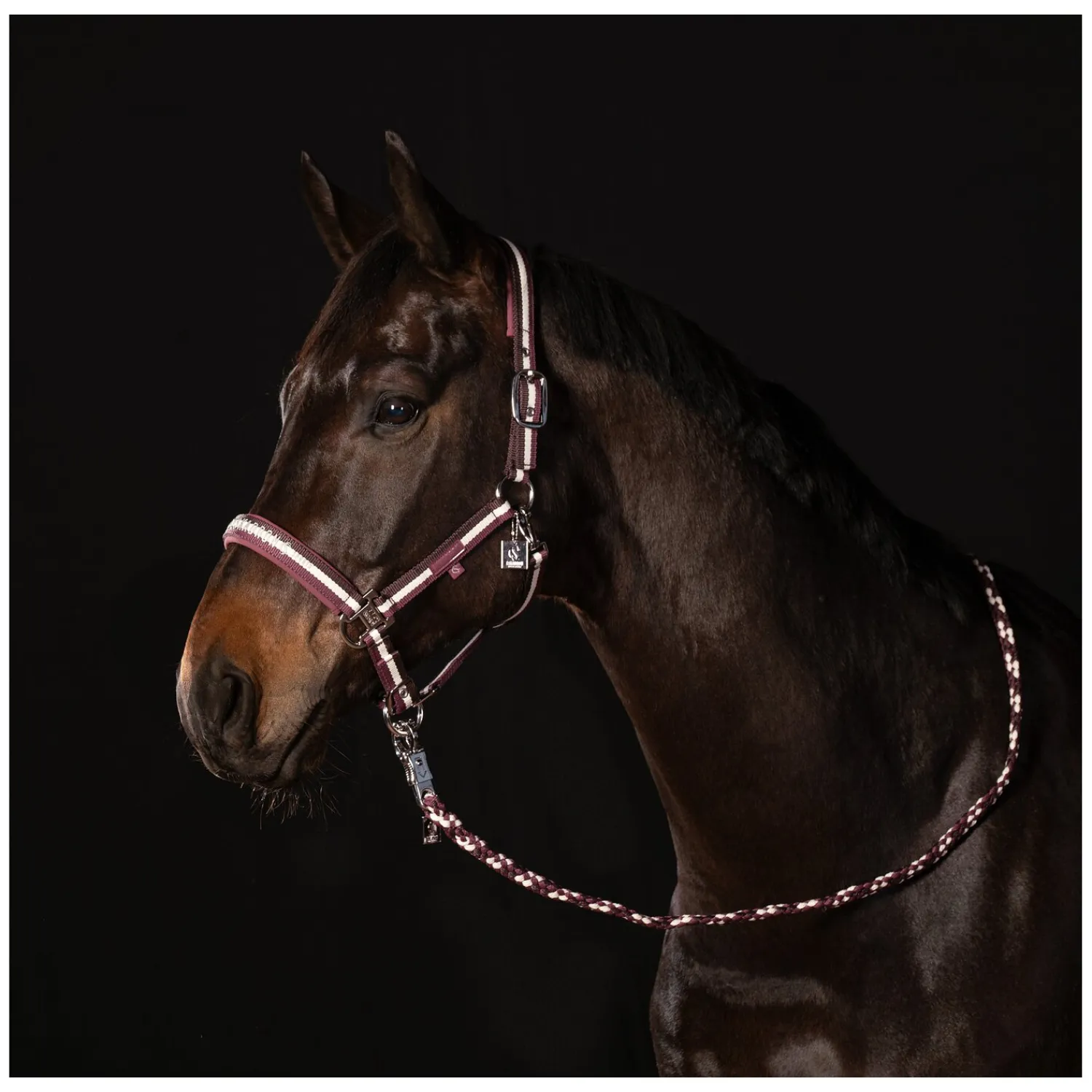 ESKADRON Classic Sports Halfter<Halfter Double Pin