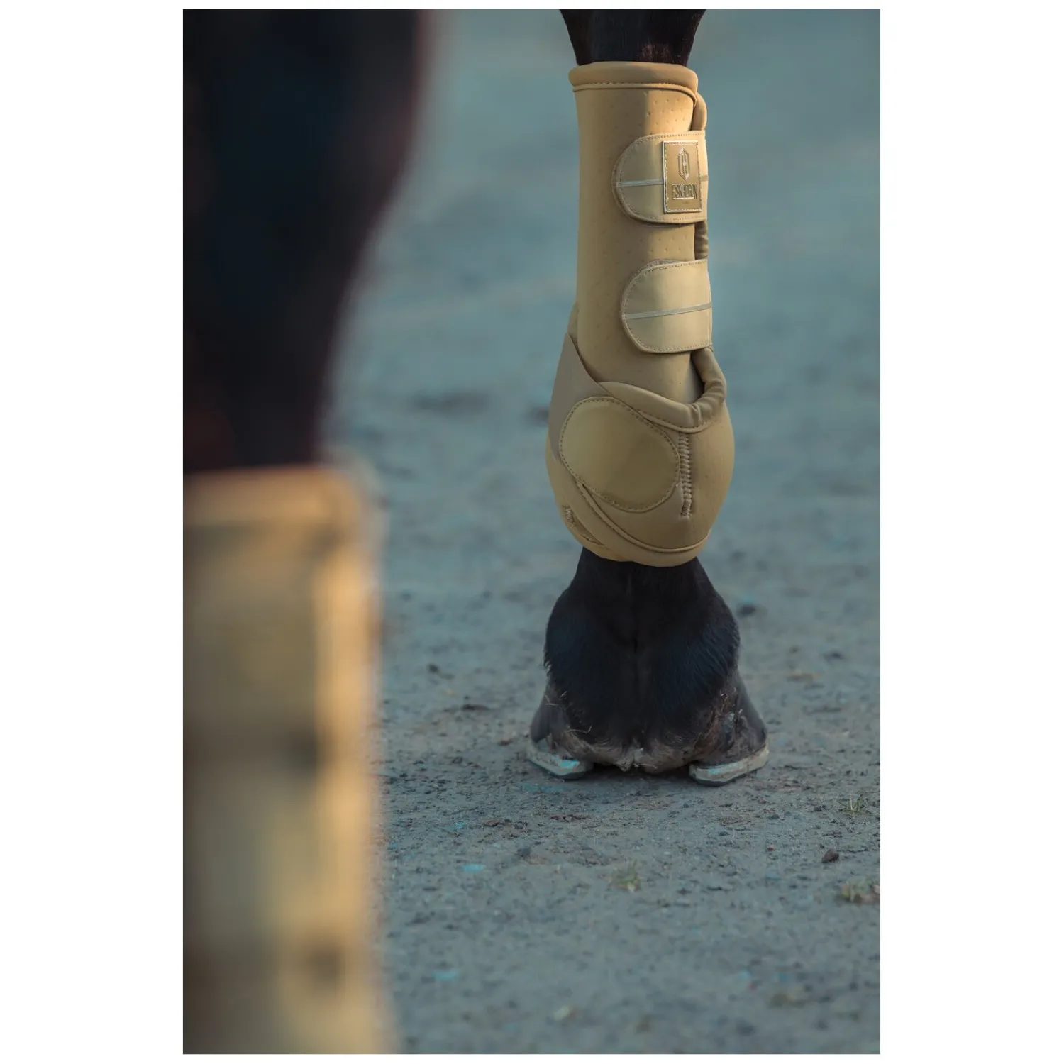 ESKADRON Heritage Gamaschen<Gamaschen Pro Dressage, für Vorderbeine