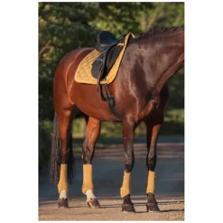 ESKADRON Heritage Gamaschen<Gamaschen Pro Dressage, für Hinterbeine