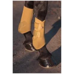 ESKADRON Heritage Gamaschen<Gamaschen Pro Dressage, für Hinterbeine