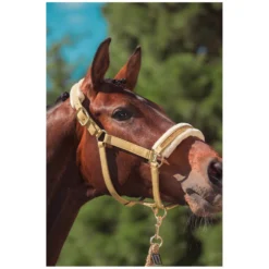 ESKADRON Heritage Halfter<Halfter Faux Leather Jewel FF Double Pin
