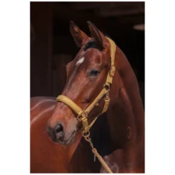 Loesdau Halfter<ESKADRON Heritage Halfter Faux Leather Double Pin