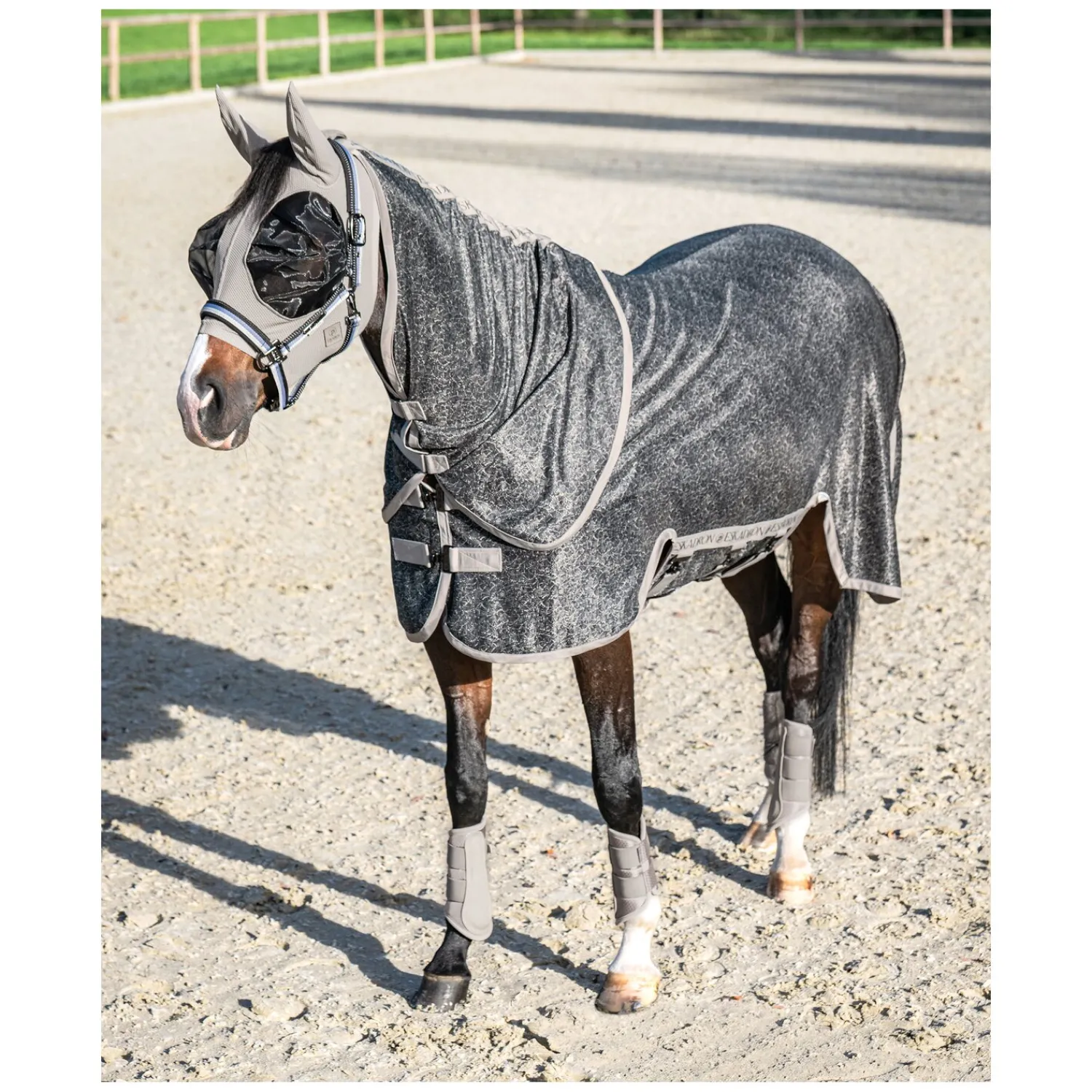 ESKADRON Platinum Gamaschen<Gaachen 1200D, für die Vorderbeine
