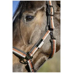 ESKADRON Platinum Halfter<Halfter Lightweight Double Pin