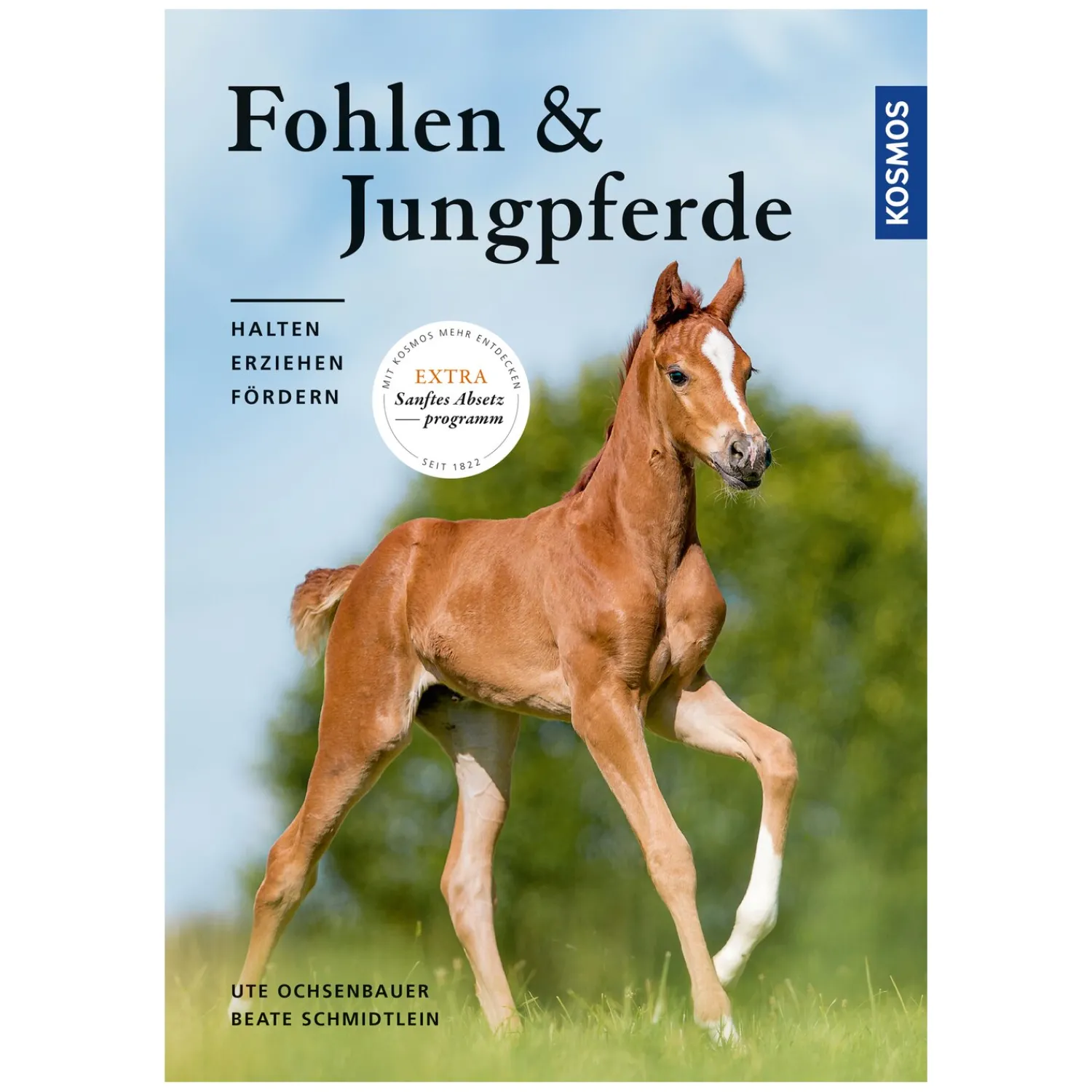 Loesdau Bücher & Multimedia<Fohlen und Jungpferde