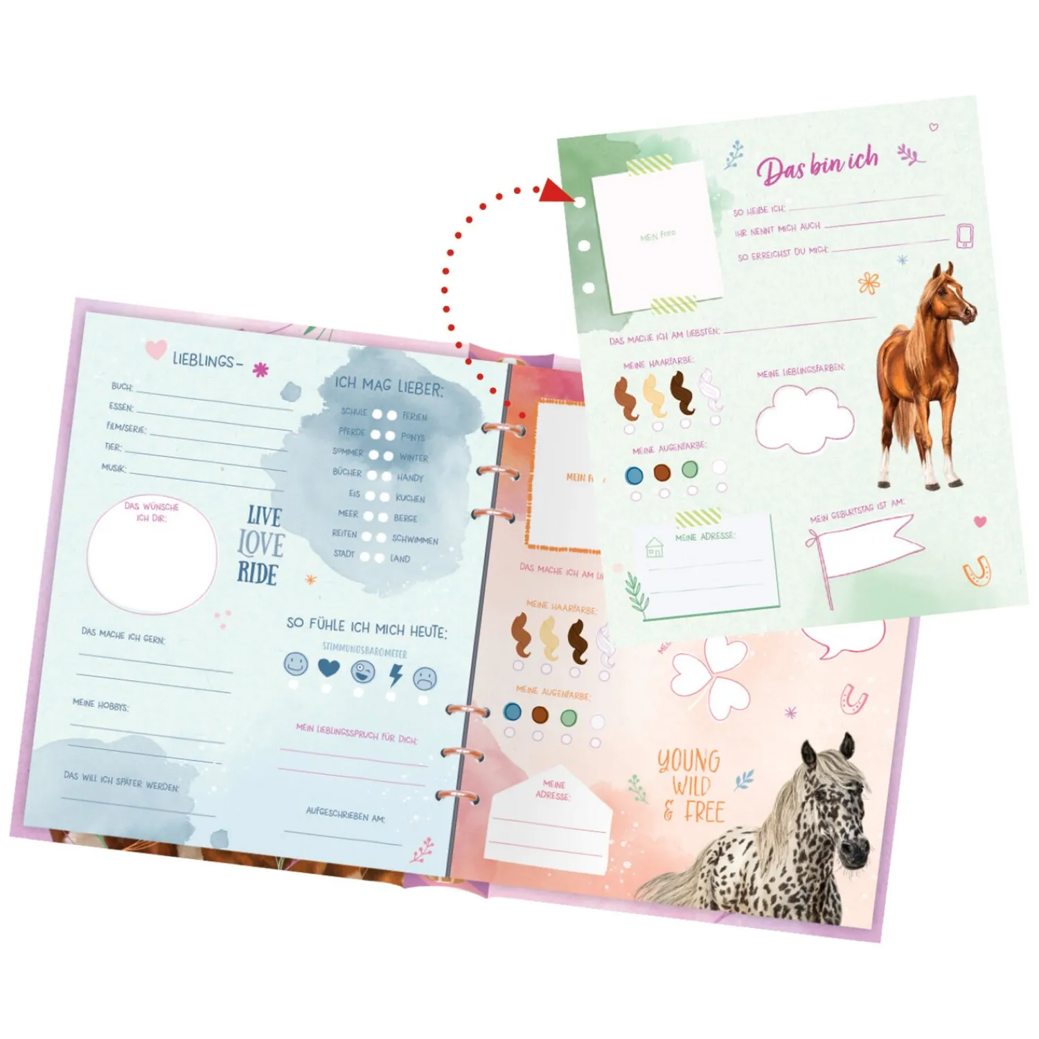 Loesdau Geschenke Für Reiter<Freundebuch Pferdefreunde mit Glitzerpatch, COPPENRATH