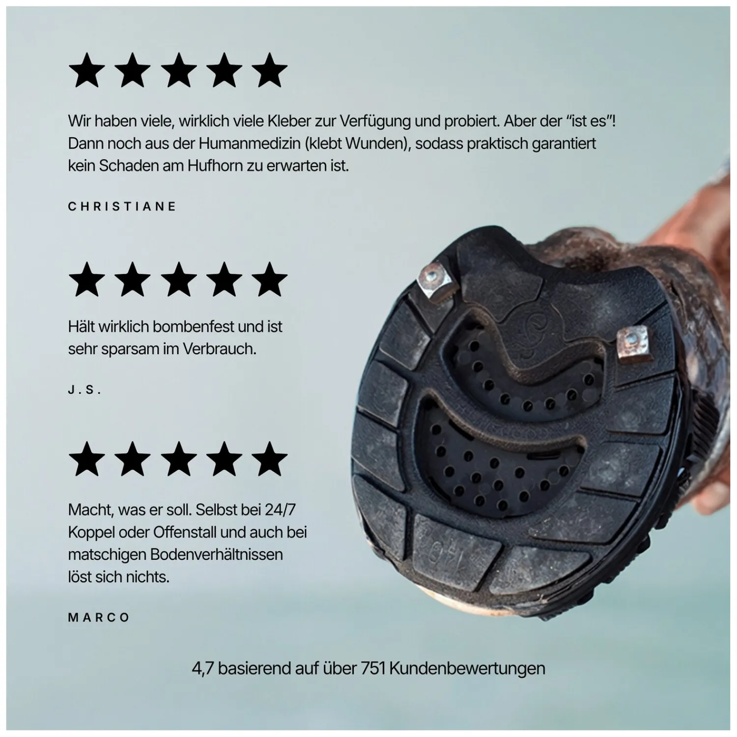 Loesdau Hufbearbeitung<GOODSMITH Ersatz-Klebelaschen