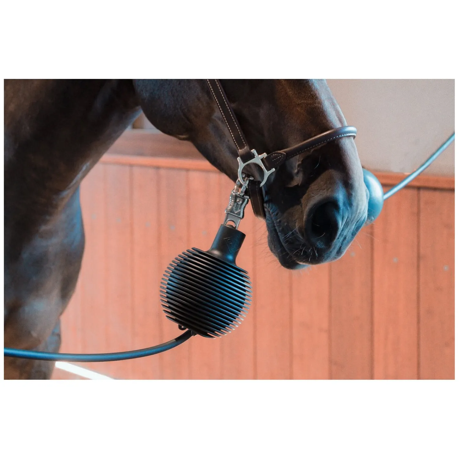 Loesdau Weiteres Stallzubehör|Führstricke<GROOMING DELUXE Strick- und Wandschutz