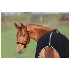 Horse-friends Pferdedecken|Transportdecken<Abschwitzdecke Wakefield