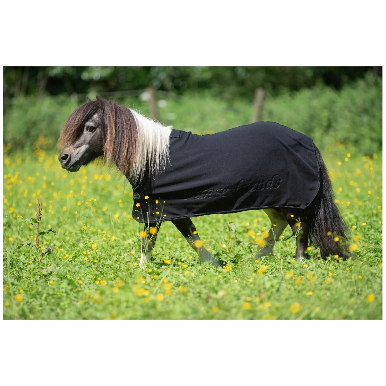 Horse-friends Pferdedecken|Transportdecken<Abschwitzdecke York