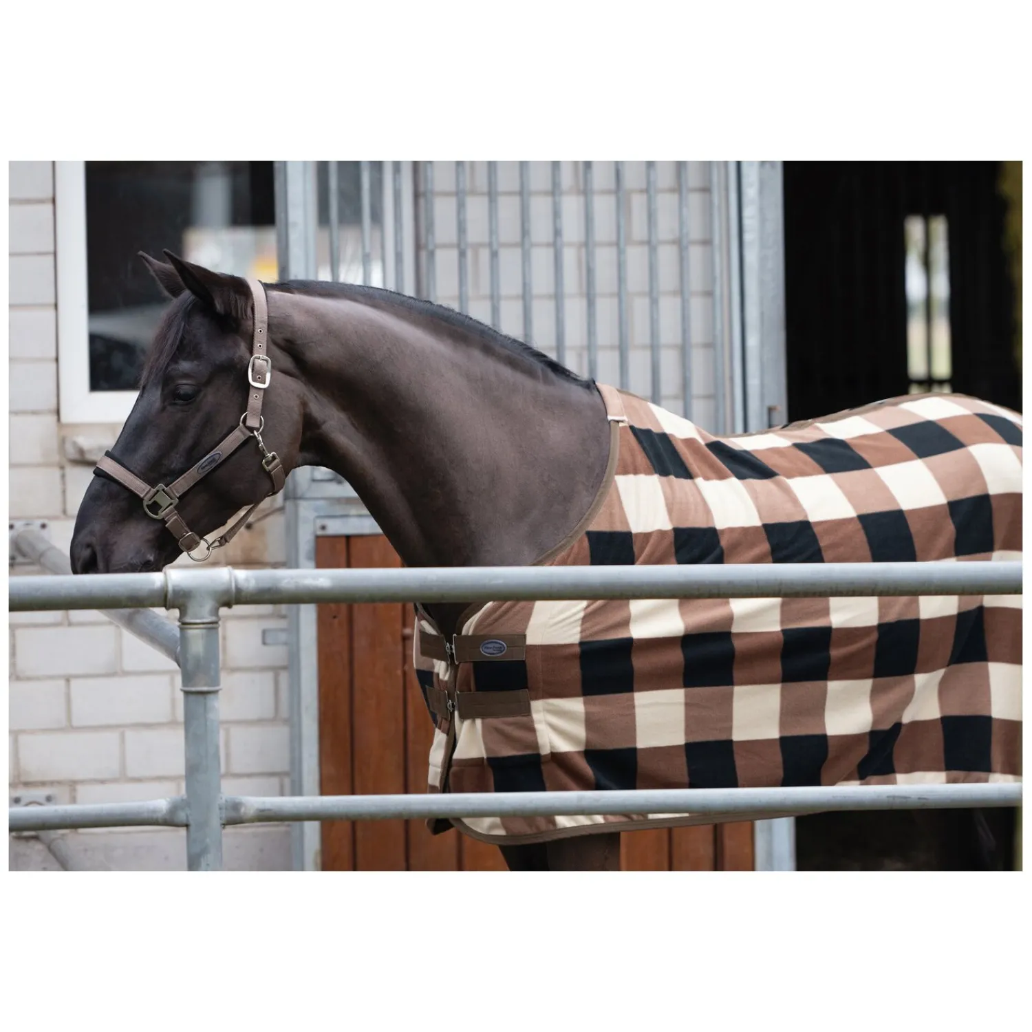 Horse-friends Pferdedecken|Transportdecken<Abschwitzdecke Sheffield