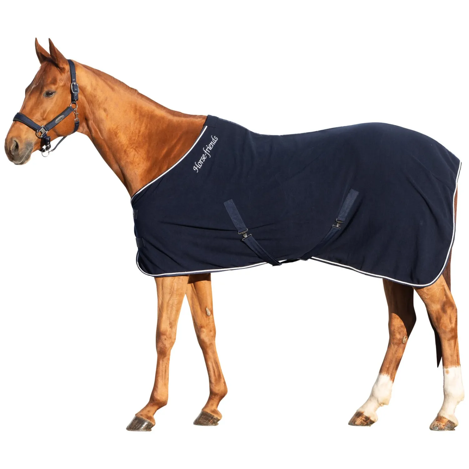 Loesdau Pferdedecken|Transportdecken<Horse-friends Abschwitzdecke Barnsley